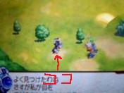 youhei.jpg